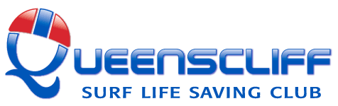 qslsclogo5